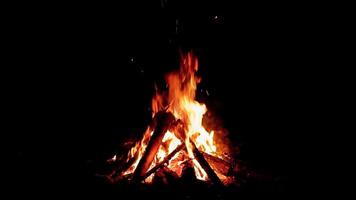 Burning Campfire Isolated on Black Background. Flaming Bonfire in Night Forest. Static Shot video