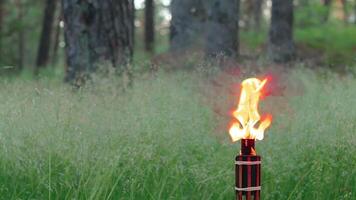 Bamboo Torch Burning in the European Forest. Decorative Tropical Candle Has a Massive Orange Flame Using Oil Fuel or Kerosene. Static Shot video