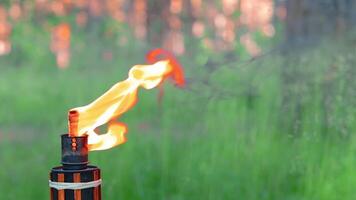 Bamboo Torch Burning in the Forest in Summer in the Daytime. Decorative Tropical Candle Has a Big Orange Flame Using Oil Fuel or Kerosene - Slow Motion. Static CloseUp Shot video