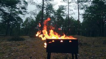 The Flame is Burning in the Grill. Lighting Fire in the Brazier. Kindling Coals in the Mangal. Preparing for a Barbecue Grill Cooking. Static Shot, Super Slow Motion video