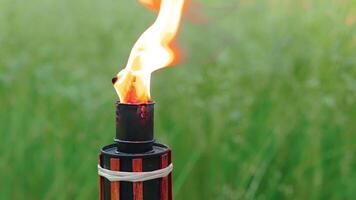 Bamboo Torch Burning in the European Forest. Decorative Tropical Candle Has a Massive Orange Flame Using Oil Fuel or Kerosene. Closeup Static Shot video