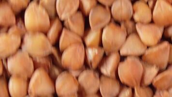 Dry Uncooked Brown Buckwheat Groats Background Moving Downward - Top View, Close-Up, Macro. Raw Large Buckwheat Grains. Russian, Ukrainian and Belarusian Culture video