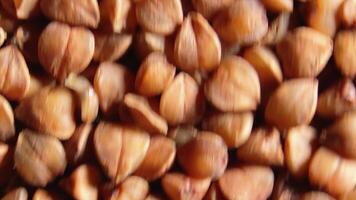 Dry Uncooked Brown Buckwheat Groats Background Moving Upward - Top View, Close-Up, Macro, Low Key Light. Raw Large Buckwheat Grains. Russian, Ukrainian and Belarusian Culture video