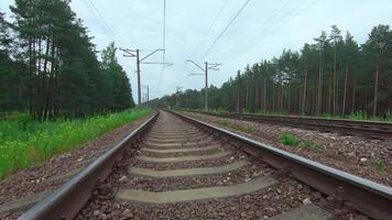 Moving Backward Along the Railroad Going Through the Pine Forest. European Railway for Electric Train - Smooth Movement on Gimbal Stabilizer video