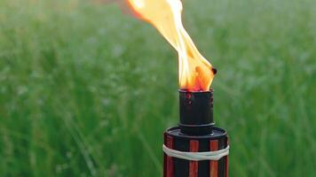 Bamboo Torch Burning in the European Forest. Decorative Tropical Candle Has a Massive Orange Flame Using Oil Fuel or Kerosene. Closeup Static Shot video