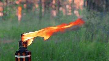 Bamboo Torch Burning in the Forest in Summer in the Daytime. Decorative Tropical Candle Has a Big Orange Flame Using Oil Fuel or Kerosene - Slow Motion. Static CloseUp Shot video