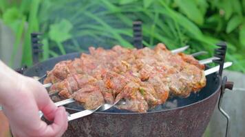 Hot Grilled Kebab Turning on the Mangal in Summer Garden. Delicious Barbecue Meat Grilling on Skewers Against the Green Nature Background. Summer Holiday Picnic Concept - Slow Motion. Middle CloseUp video
