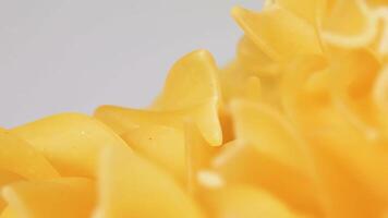 Uncooked Fusilli Pasta Heap Rotating - Macro. Fat and Unhealthy Food. Dry Spiral Macaroni - Close-Up. Italian Culture and Cuisine. Raw Golden Pasta video