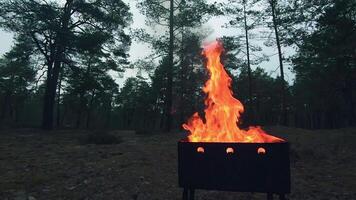 The Flame is Burning in the Grill. Lighting Fire in the Brazier. Kindling Coals in the Mangal. Preparing for a Barbecue Grill Cooking. Static Shot, Super Slow Motion video