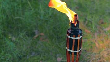 Bamboo Torch Burning in the Forest in Summer in the Daytime. Decorative Tropical Candle Has a Big Orange Flame Using Oil Fuel or Kerosene - Slow Motion. Static CloseUp Shot video