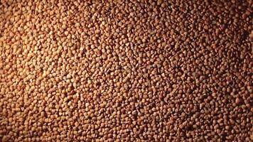 Dry Uncooked Brown Buckwheat Groats, Slowly Rotating Background - Top View, Low Key Light. Raw Large Buckwheat Grains. Russian, Ukrainian and Belarusian Culture. Rotation Right video