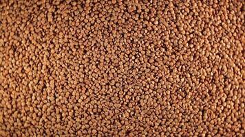 Dry Uncooked Brown Buckwheat Groats, Rotating Background - Top View, Low Key Light. Raw Large Buckwheat Grains. Russian, Ukrainian and Belarusian Culture. Rotation Left video