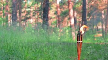 Bamboo Torch Burning in the Forest in Summer in the Daytime. Decorative Tropical Candle Has a Big Orange Flame Using Oil Fuel or Kerosene - Slow Motion. Static Shot video