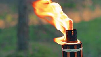Bamboo Torch Burning in the Forest in Summer in the Daytime. Decorative Tropical Candle Has a Big Orange Flame Using Oil Fuel or Kerosene - Slow Motion. Static CloseUp Shot video