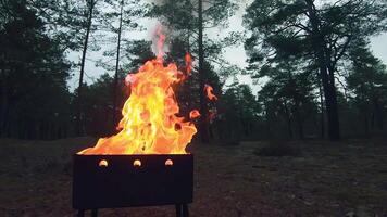 The Flame is Burning in the Grill. Lighting Fire in the Brazier. Kindling Coals in the Mangal. Preparing for a Barbecue Grill Cooking. Static Shot, Super Slow Motion video