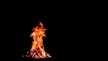 Burning Campfire Located on the Left Side of the Frame, Isolated on Black Background. Flaming Bonfire in Night Forest. Static Shot video