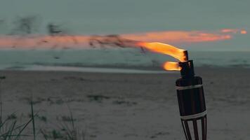 Tropical Bamboo Torch Burning in the Beach at Summer Evening. Decorative Candle Has a Massive Orange Flame Using Oil Fuel or Kerosene - Slow Motion. Static Shot video