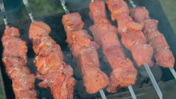 Man is Cooking Pork Outdoors and Turning Barbecue Meat on Skewers. Hot Grilled Kebab on the Coals. Picnic Food Preparing. Middle Close-Up Shot video