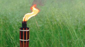 Bamboo Torch Burning in the European Forest. Decorative Tropical Candle Has a Massive Orange Flame Using Oil Fuel or Kerosene. Closeup Static Shot video