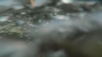 Over and Under River Surface with Water Reflections - Low Angle View. Underwater Split View with Waves at Sunny Summer Day - Super Slow Motion video