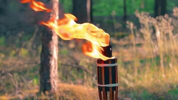 Bamboo Torch Burning in the Forest in Summer in the Daytime. Decorative Tropical Candle Has a Big Orange Flame Using Oil Fuel or Kerosene - Slow Motion. Static CloseUp Shot video