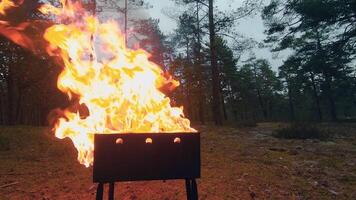 The Flame is Burning in the Grill. Lighting Fire in the Brazier. Kindling Coals in the Mangal. Preparing for a Barbecue Grill Cooking. Static Shot, Super Slow Motion video
