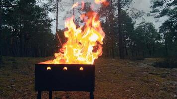 The Flame is Burning in the Grill. Lighting Fire in the Brazier. Kindling Coals in the Mangal. Preparing for a Barbecue Grill Cooking. Static Shot, Super Slow Motion video
