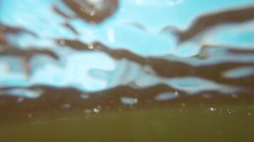 Over and Under Sea Surface with the Lights of the Sun Through the Water. Underwater Split View with Sea Waves at Sunny Summer Day - Slow Motion video