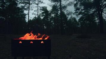 The Flame is Burning in the Grill. Lighting Fire in the Brazier. Kindling Coals in the Mangal. Preparing for a Barbecue Grill Cooking. Static Shot, Super Slow Motion video