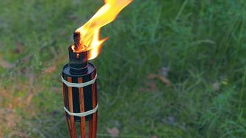 Bamboo Torch Burning in the Forest in Summer in the Daytime. Decorative Tropical Candle Has a Big Orange Flame Using Oil Fuel or Kerosene - Slow Motion. Static CloseUp Shot video