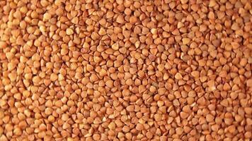 Dry Uncooked Brown Buckwheat Groats, Rotating Background - Top View. Raw Large Buckwheat Grains. Russian, Ukrainian and Belarusian Culture. Rotation Right video