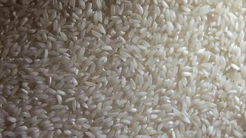 Dry Uncooked White Rice Background Slowly Rotating Left - Top View. Scattered Raw Long Grain Rice. Asian Cuisine and Culture. Healthy Eating Ingredients. Diet Food. Angular Rotation Counter-Clockwise video