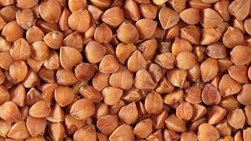 Dry Uncooked Brown Buckwheat Groats, Slowly Rotating Background - Top View, Close-Up, Macro. Raw Large Buckwheat Grains. Russian, Ukrainian and Belarusian Culture. Rotation Right video