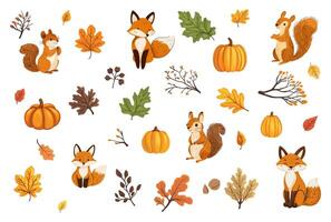 set of illustration of autumn elements set. featured fox, squirrel, mapple leaves, berry twigs, and pumpkin in flat color. isolated on white background. vector