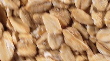 Oat Flakes Background Slowly Rotating Counter-Clockwise - Top View, Close-Up. Scattered Dry Oat Flakes. Healthy Breakfast and Diet Eating Ingredients - Angular Rotation Left video