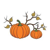 Pumpkins and branch on the white background vector