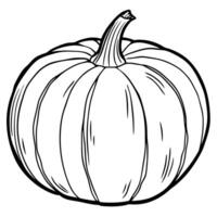 Ink sketch of pumpkin isolated on white background. Hand drawn illustration. vector