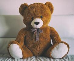 A brown teddy bear sitting on a couch photo