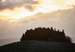 A hill with trees and a sky photo