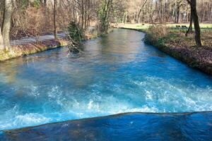A river flowing through a forest photo