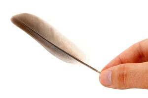 A person holding a feather on a white background photo