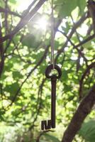 A key hanging from a tree branch photo