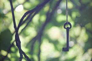 A key hanging from a tree branch photo