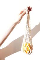 Caucasian person holding white cotton net bag with orange fruit inside, isolated on white background photo