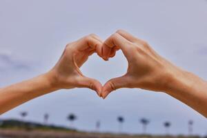 Two hands making a heart shape against a clear blue sky with palm trees in the background. photo