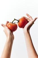Two hands grip two ripe red tomatoes against a plain white background. a simple and fresh image photo