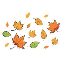Autumn background with falling leaves isolated on white vector