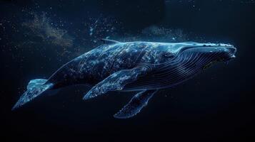 Blue whale in the underwater expanse of the ocean. A huge whale underwater photo