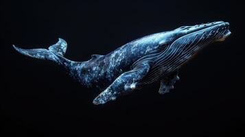 Blue whale in the underwater expanse of the ocean. A huge whale underwater photo
