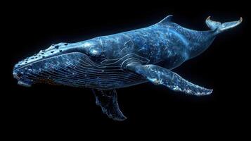 Blue whale in the underwater expanse of the ocean. A huge whale underwater photo